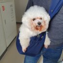 (주)인풀 이미지