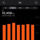 (주)네트로 | 여행 후 종아리붓기 관리하기 좋은 패치 베노라이트에프 사용 후기