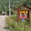 삼박골 이미지