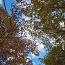 GS25북한산우이점 | 북한산 우이령길 단풍상태 (사전예약 필수, 주차 주의사항, 소요시간)