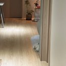 키다리약국 | 나이29살에고등학교에서다시오래