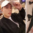 아웃사이더 카카오 검색결과
