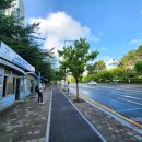 서울출장기/ 강남N타워, 블루보틀역삼, 한국특허전략개발원, 샹볼뮈지니, 충현교회, 선릉 정릉, 마이...