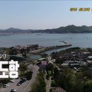 돌고래 좌대낚시터 이미지