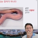 장어월드
