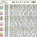 2023년 6월 5일 운세 및 세상 소식 이미지