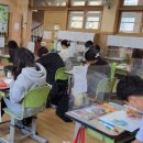 관양초등학교 이미지