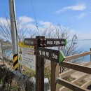 쥐똥섬펜션 이미지