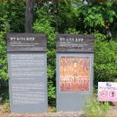 아찔한 기암절벽 위 사찰" 강변 절경을 보기 위해 전국에서 주말이면 몰리는 사찰 명소 이미지