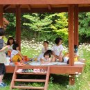 풍향초병설유치원 네이버블로그