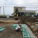 도리민박 이미지