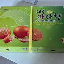 아빠농장 | 제주카라향 산지직송 아빠는농부다 승환이네 농장 후기