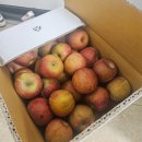 구구스크린골프 | 11월 요약