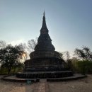 도이 | 치앙마이 왓우몽 + 도이수텝 야경 투어 후기 | 한국어 가이드 솔직 리뷰