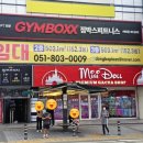 미니돌(MINI DOLL) 이미지