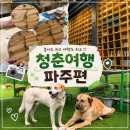 대신동주민센터 내 | [Planet Zoom-in 플래닛 주민센터] 봉사도 하고 여행도 하고! 청춘여행 파주편 1박 2일 후기
