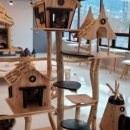 예뻐질개 이미지