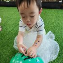 다산 스페이스팜 방문후기