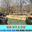 첫날 후기_ 에버랜드 리버트레일_36개월 아이와 함께 갈만 할까?!_리버트레일 어드벤처