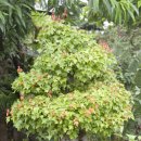 고향민박 이미지