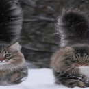 김어준은 어떻게 하루에 5000만원을 벌었나 이미지