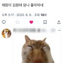 씨유진주상봉좋은점 | 斜陽に気付けば目も開かぬまま