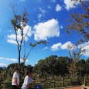 해양관 카페 이미지