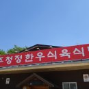 청정한우숯불 | 영주 맛집 추천 영주 청정한우 육회냉면 후기