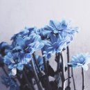 (주) 세온행정사 사무소 이미지