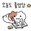 파니니 수정점