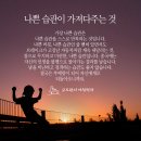 여드름~~머리숯~~ㅠㅠ 이미지