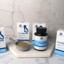 제이에이치바이오팜 이미지