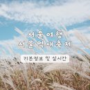 하늘공원 | 서울 여행 마포구 | 상암 하늘공원 2025 억새축제 총정리 실시간 후기 10월 11월 꽃축제 데이트 추천