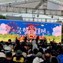 함평 국화대전을 찾아서 (25.11.8) 이미지