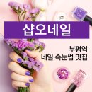 1481샵 이미지