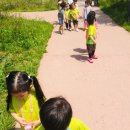 다연유치원 이미지