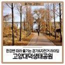한강다목적운동장 축구장 | 고양대덕생태공원은 진화중, 한강변 따라 즐기는 걷기&amp;자전거 라이딩