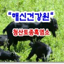 토종건강원 이미지
