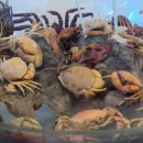 땅끝해양 자연사박물관 이미지