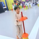 호랑이 태권도장 네이버블로그