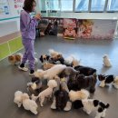 약지애견카페 이미지