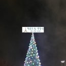 삼영일리아 이미지