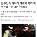 음주단속 때문에 자리를 바꾼 부부, 그런데 아내는 수배자 이미지