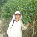 배성농장 이미지