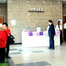 그루터기 이미지