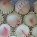 장택농장 이미지