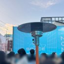 도그 블라썸 | 서울 성수 : 젤리캣스페이스 주말 당일예약 팁 후기 굿즈 가격 정보