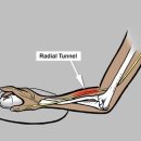 몸짱만들기 GYM 이미지