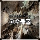 (주)레이크머티리얼즈(지점) - 10176 | 단양 가볼만한 곳, 고수동굴 솔직후기(주차, 입장료, 할인)