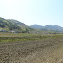 구렁농장 이미지